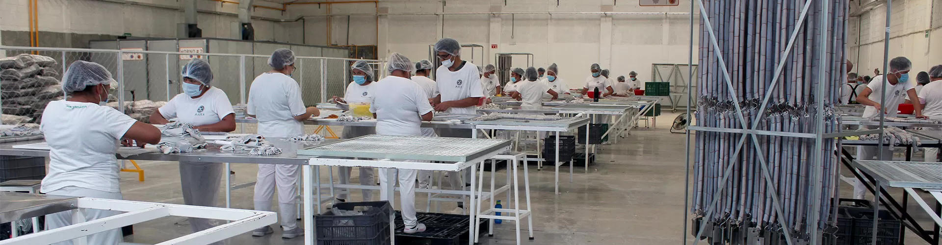 Planta de fabricación de masticables para perro Maya Pet Toy en León, Guanajuato